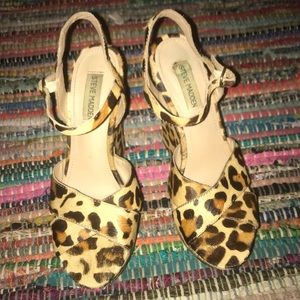 Cheetah Steve Madden Wedge